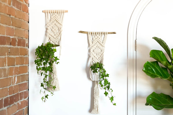 macrame plant hanger flat Plant Hanger Workshop